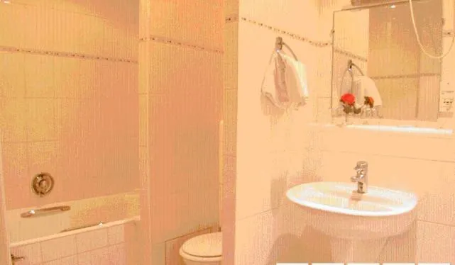 Hotel Du Palais Bourbon 3*