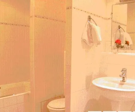 Hotel Du Palais Bourbon 3*